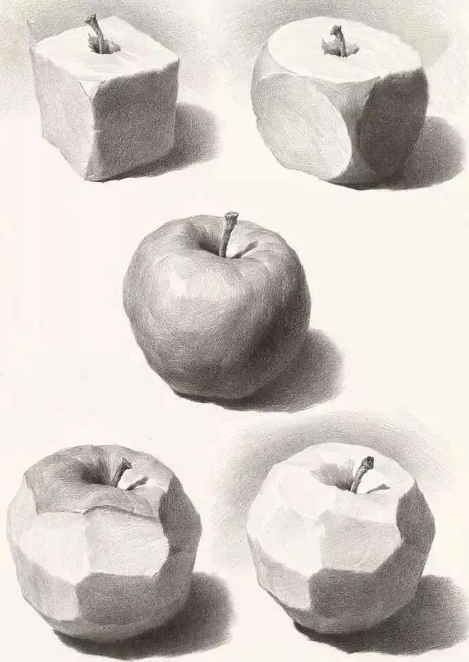 用体面解剖全面分析素描静物里苹果和梨的画法