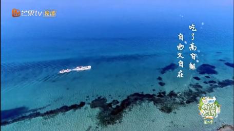 舌赛尔人口_赛尔号图片(3)