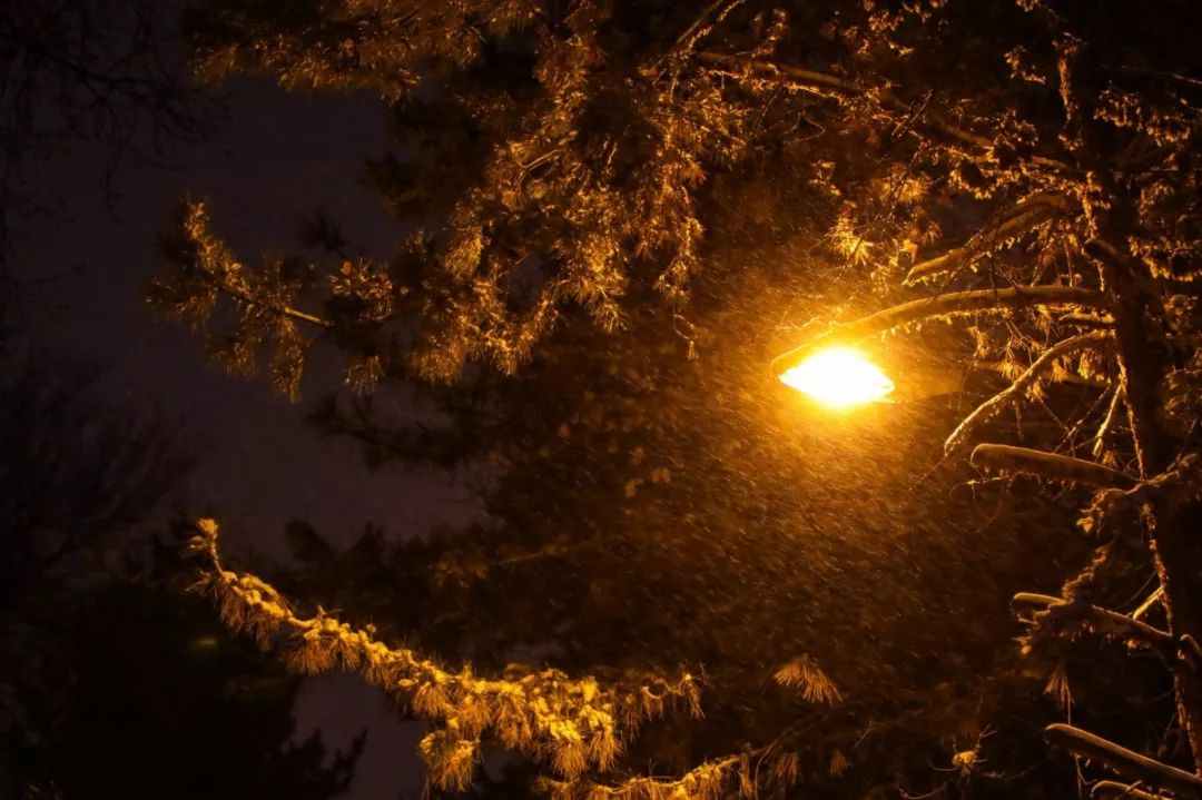 定格|刷遍石大人朋友圈的雪天夜景,美的难以抗拒!