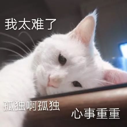 9f0db20bd9084efd8012211dd77580e8.jpeg