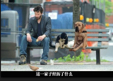 什么样才算是有本事 c0af8fa625d5488cbe141a5c28ccb1ff.png