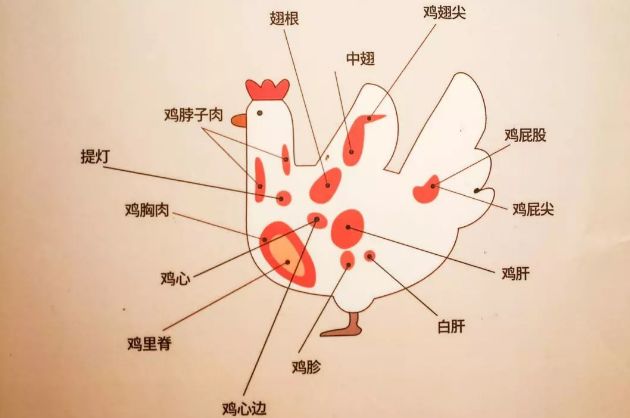 而到了现在,大多烧鸟店只专注于用鸡来制作烤串,他们会将鸡的各个部位