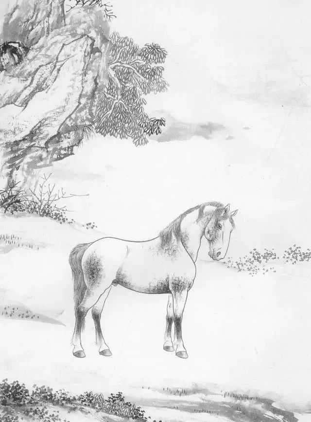 【国画教程】马的画法