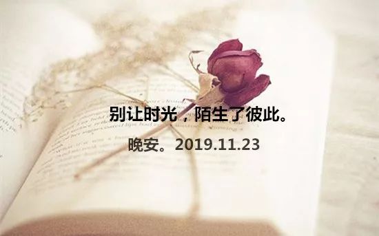d9ad8d7f50a446b581ec06a99c75773a.jpeg