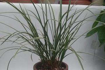 f0d1783bd8d440de88c10ae8bf943ea2.jpeg