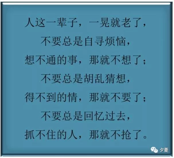 美文 鸡汤:抓不住的人,就放手,得不到的情,就释然