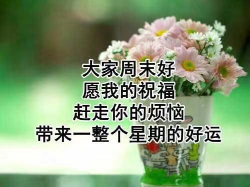 星期天最新漂亮早上好动态美图鲜花带字,早晨好幸福暖