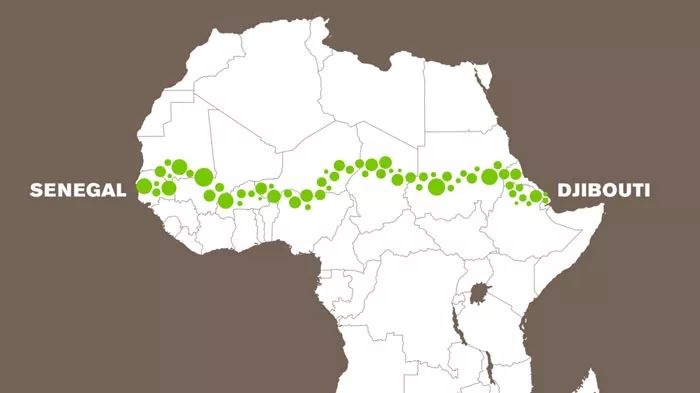 在非洲北部撒哈拉沙漠的南端,20几个非洲国家正在努力栽出一条长达