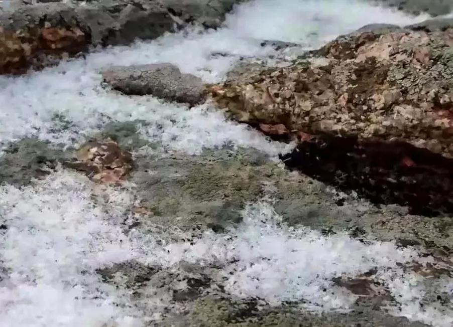 112c791e9d544cb3bf76413f6841fd44.JPG