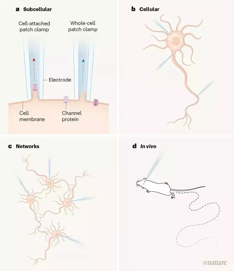 这些改变过世界的论文,你知道几篇?