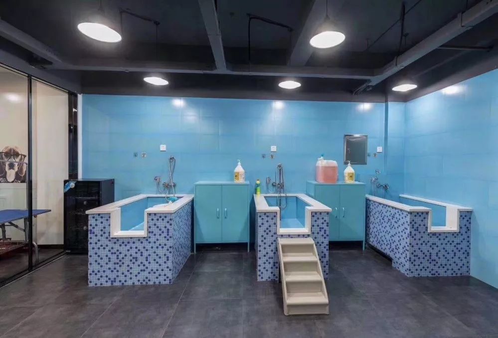 宠物店加盟排行_艾媒金榜|“铲屎官”们看过来!中国宠物连锁品牌排行榜单TOP10(2)