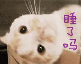 465322f1c6a04902a9aeae4b47453ec9.jpeg