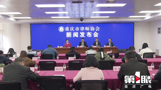 人口律师比