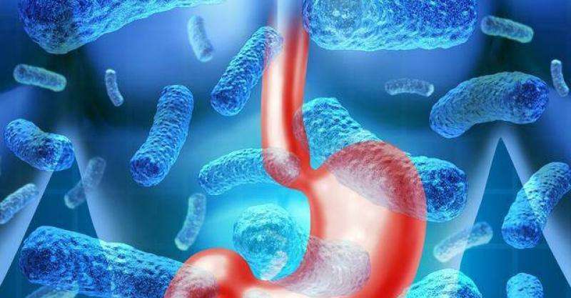 如何知道自己的体内有癌细胞 49ebb3acd1bb4d08be57ae3d58cd0a39.jpeg