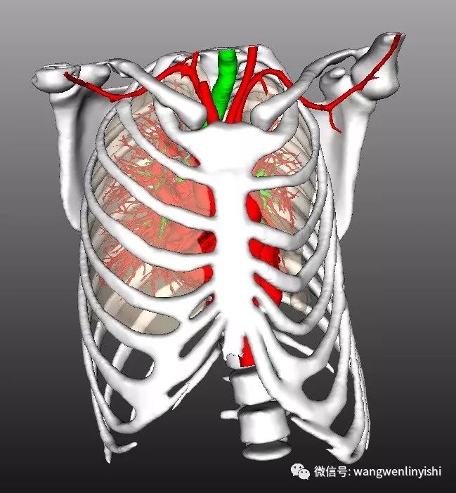 ct检查提示左侧脓胸,胸膜增厚,钙化明显,左侧胸壁塌陷,胸廓左右不对称