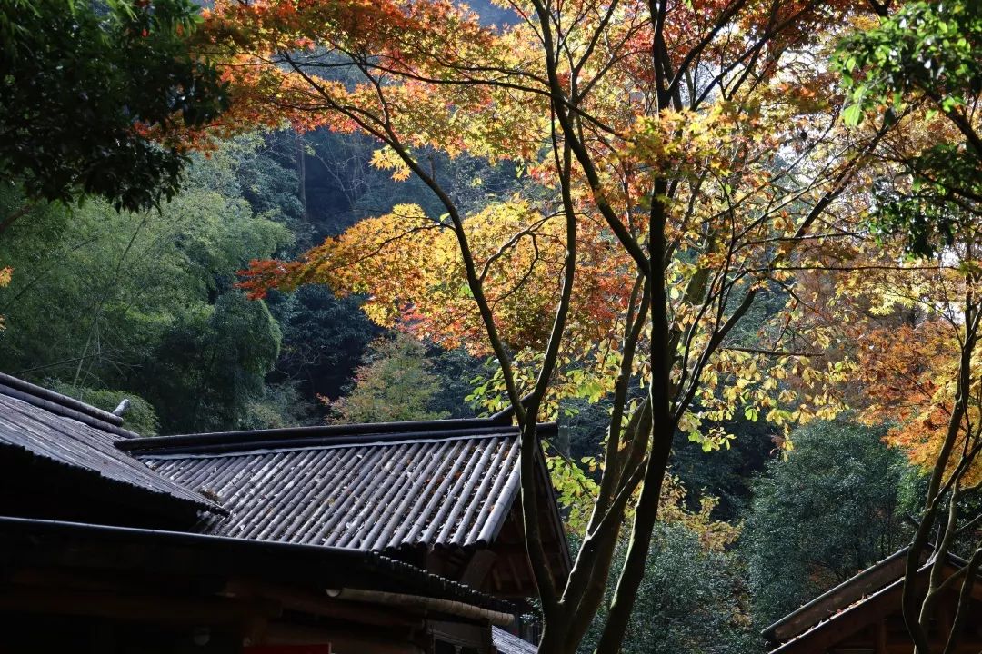 翻山岭叹赏秋景访古刹聆听佛音