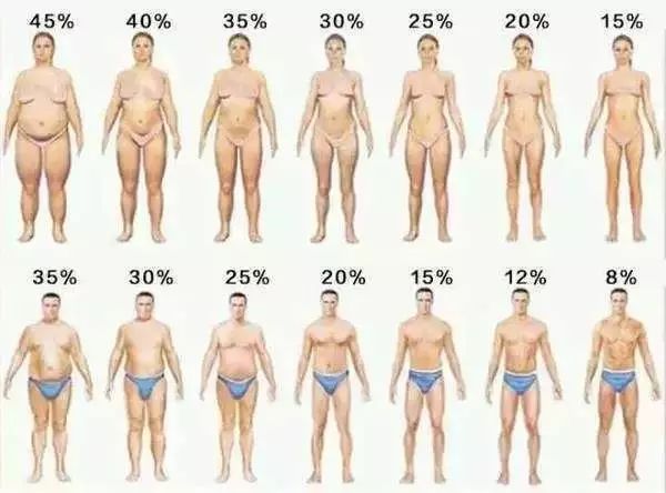 如果体脂率下降5%,你的身体会有怎样的变化?