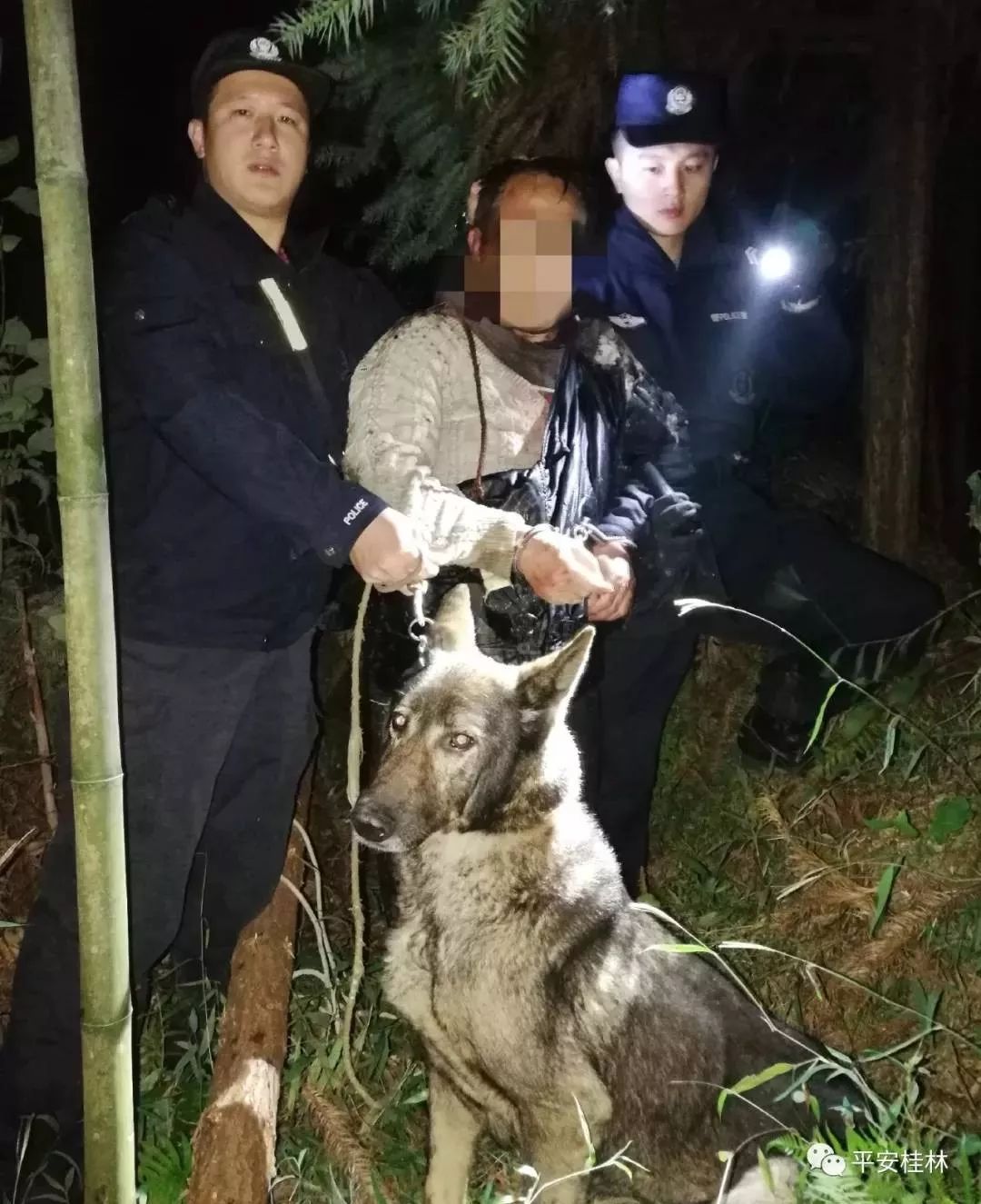 龙胜人口分局_龙胜二维码图片(2)