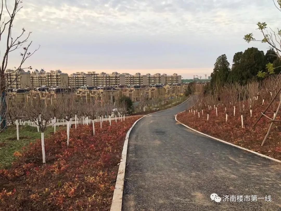 唐冶围子山郊野公园上山坡道实景图目前,唐冶以及周边区域相继落地