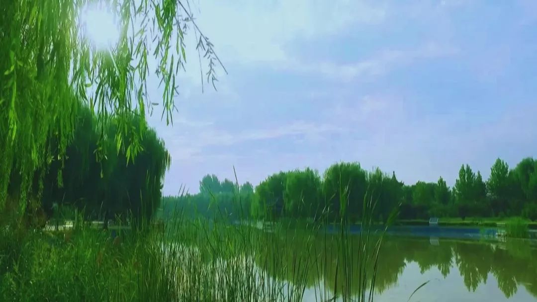 东光县有多少人口_东光县吕老四儿子吕杰(2)