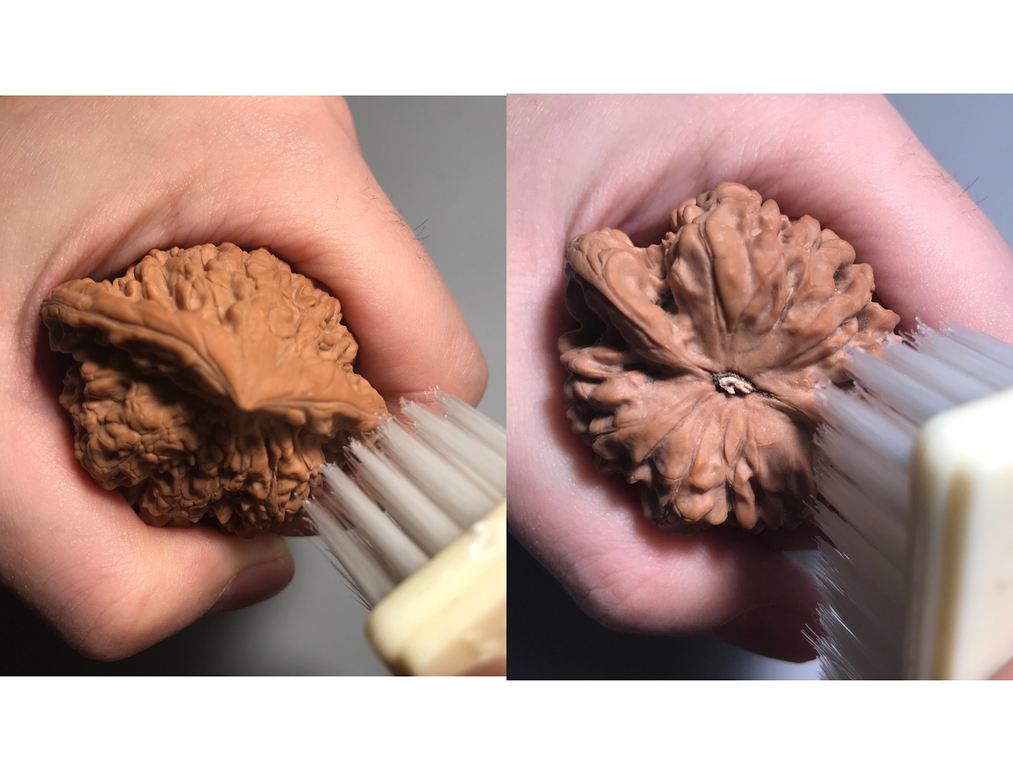 如何刷核桃 9307aa92c0004bf1bf64b86366b7ae59.jpeg