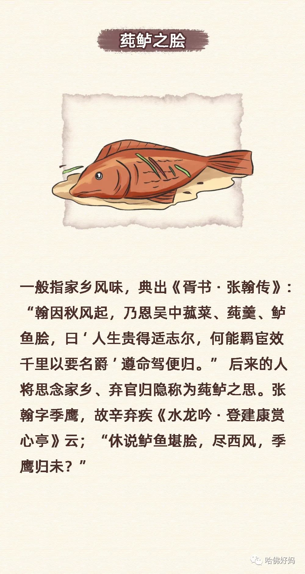 什么文半什么成语_成语故事简笔画(3)
