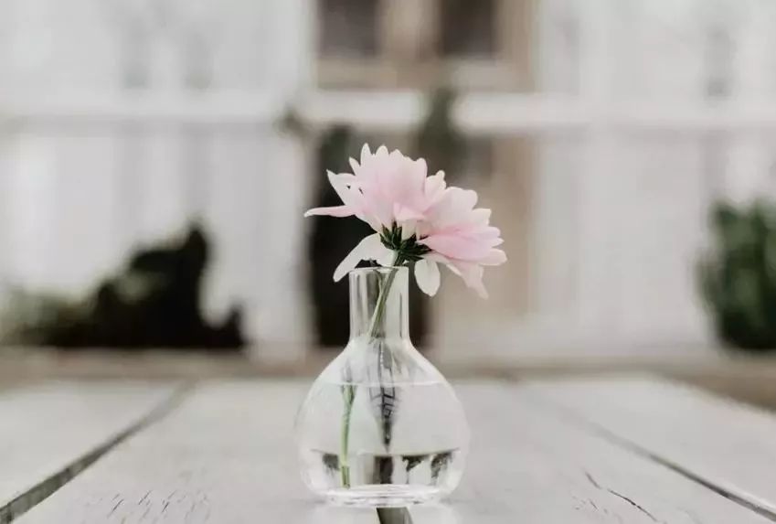 微小说 :咽不下这口气