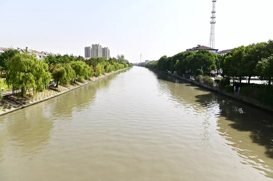 区河闸所 浦南运河 (南明路-27号桥) 区河闸所 浦南运河 (新奉公路桥