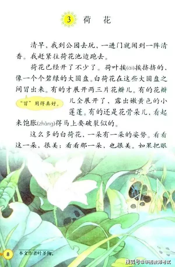 【华图教师整理】《荷花》是人教版三年级下册课文,本片断教学(试讲)