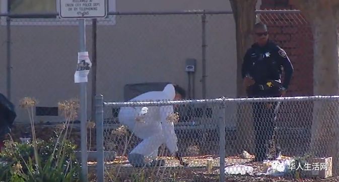 枪手乱枪扫射小学操场,车打成筛子,11岁14岁少年惨死车中