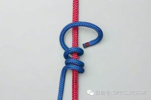 一日一结抓结或移动结blakeshitch