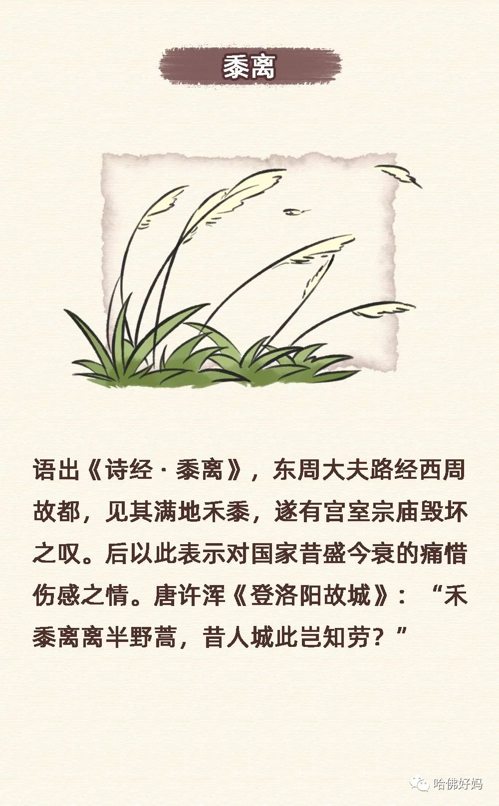 什么文半什么成语_成语故事简笔画(3)