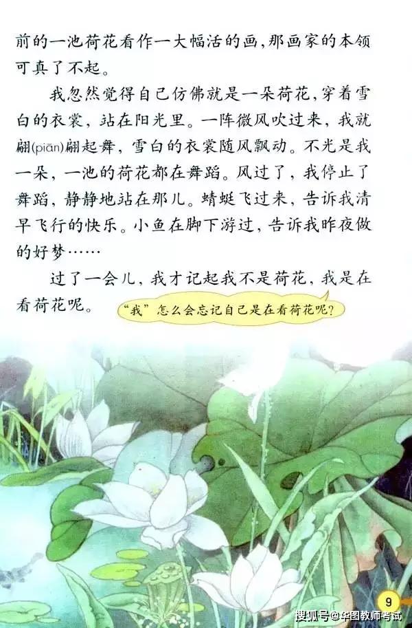 【华图教师整理】《荷花》是人教版三年级下册课文,本片断教学(试讲)