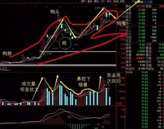 原创千金难买老鸭头,"老鸭头"走势一旦形成,坚决捂住!后市超大行情