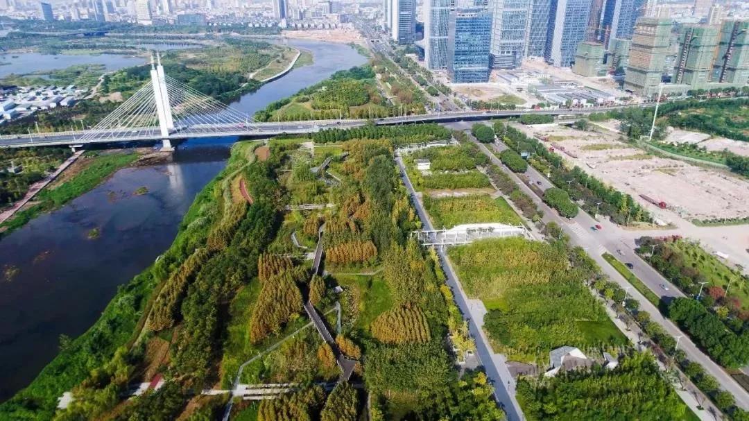 对宁波市民而言,东部新城生态走廊已再熟悉不过,它已成为四季休闲时光