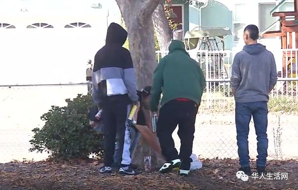 枪手乱枪扫射小学操场,车打成筛子,11岁14岁少年惨死车中