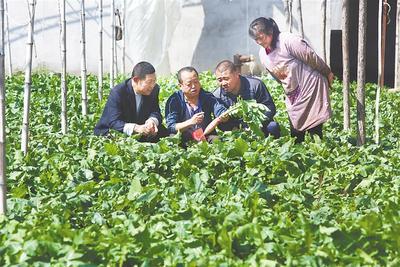 饶阳有多少人口_饶阳二中段主任的照片