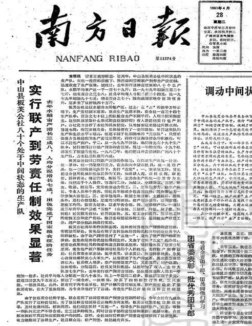 板芙总人口(3)