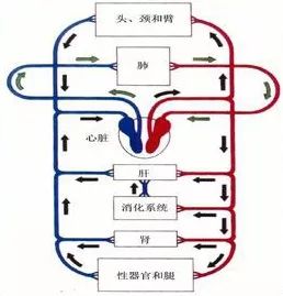 ed7a3e98c54c41e1b92364424864914a.jpeg