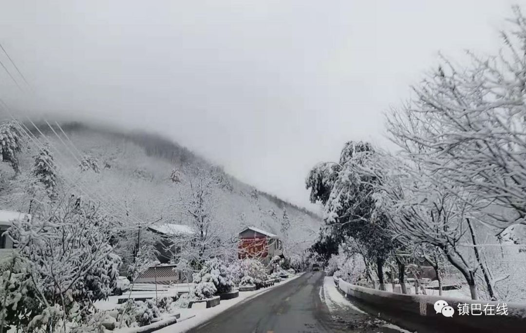 镇巴雪景美如画!提醒星子山方向需带防滑链!