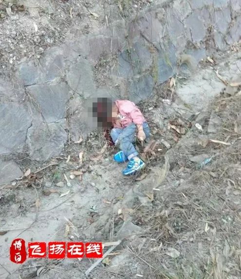 博白东平人口_博白东平地图