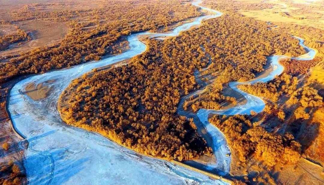 额济纳旗黑河水量调度工作结束,看看河水都流到了哪?