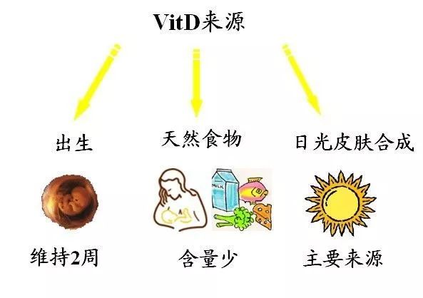 吃什么食物能补充维生素d3 160f11491fe44b43ad43bfda07eb25e3.jpeg