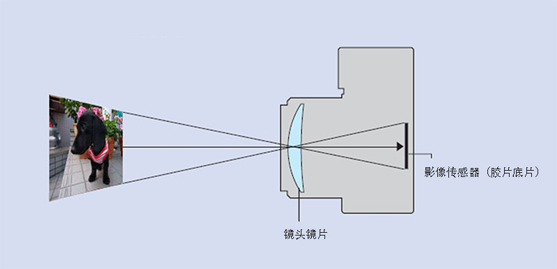 单反,双反,旁轴,你都搞清楚了么?_相机