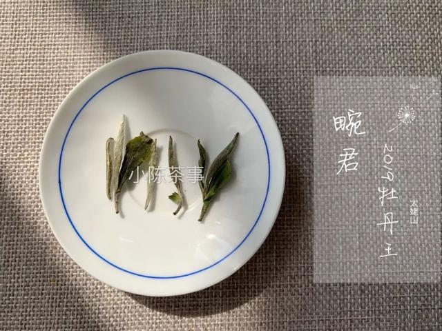 为什么白茶能压成饼，而武夷岩茶不能压？