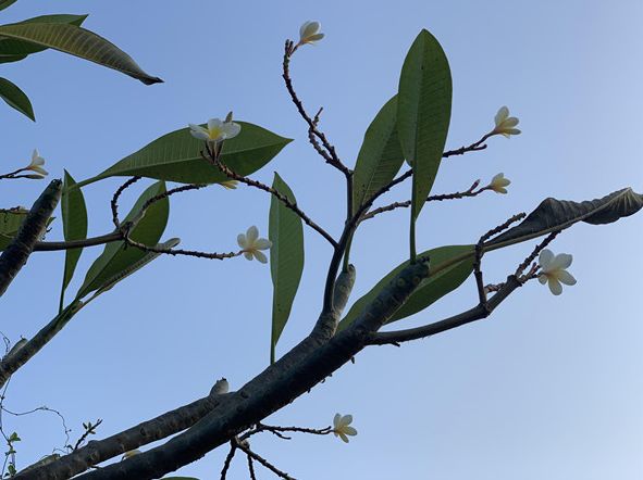 杨礼诚介绍,之所以设置多个宣传栏,是为了增强村民对于村集体的荣誉感