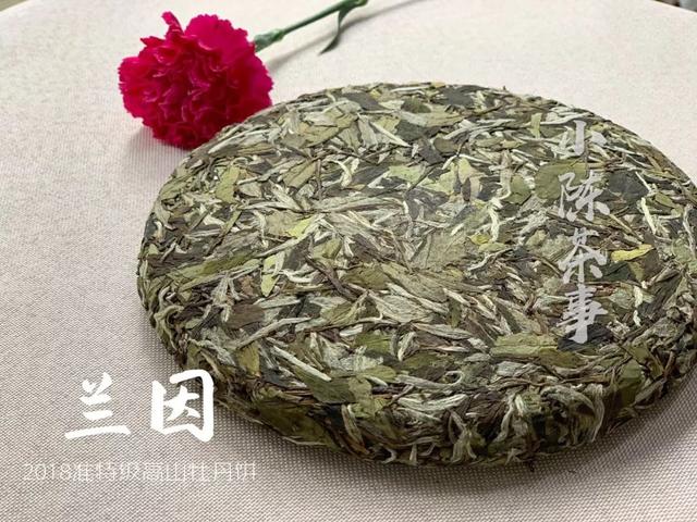 为什么白茶能压成饼，而武夷岩茶不能压？