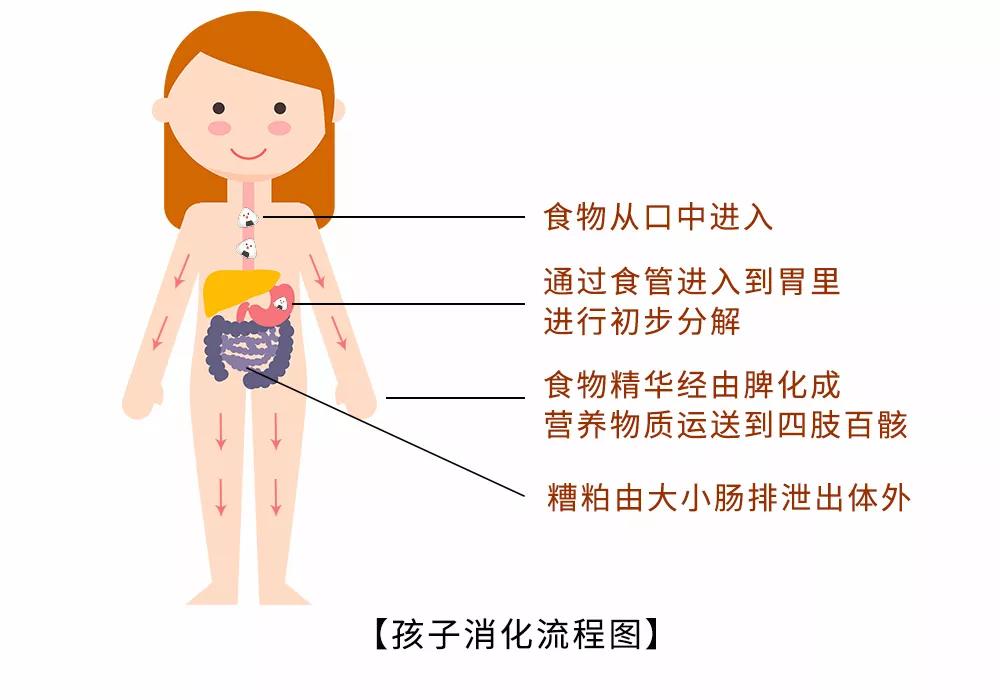 「儿康堂」下眼皮发红、发青？“一眼”看穿孩子是否长期脾虚！