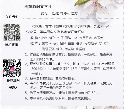 雪如花大提琴谱_Let it Go 冰雪奇缘主题曲小提琴大提琴钢琴三重奏谱(3)