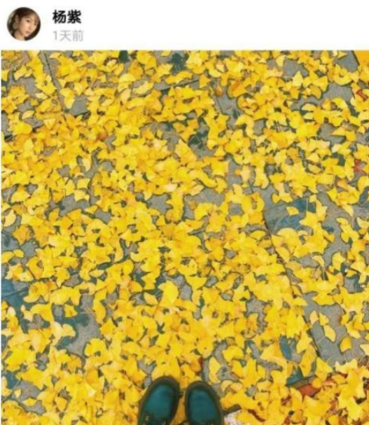 杨紫王俊凯有状况？KTV嗨唱7小时，一个动作就暴露出两人关系